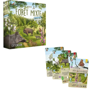Foret mixte Ext Lisiere de la foret